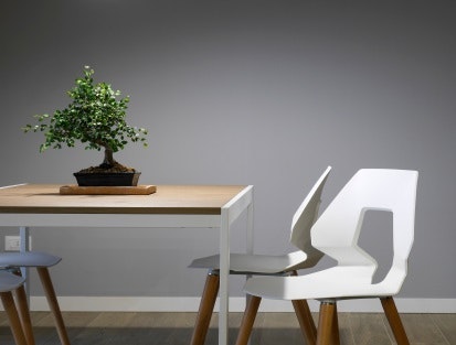 Produkt Bild
